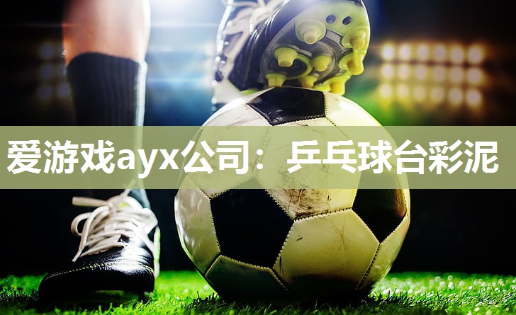 爱游戏ayx公司：乒乓球台彩泥